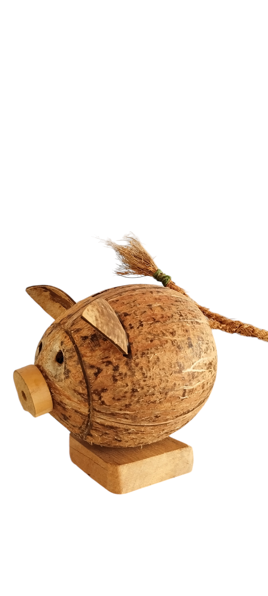 Piggy Bank On Coconut Shell - Image 2