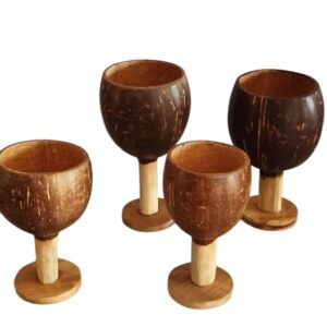 Coconut Shell Glasses