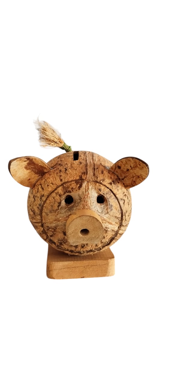 Piggy Bank On Coconut Shell