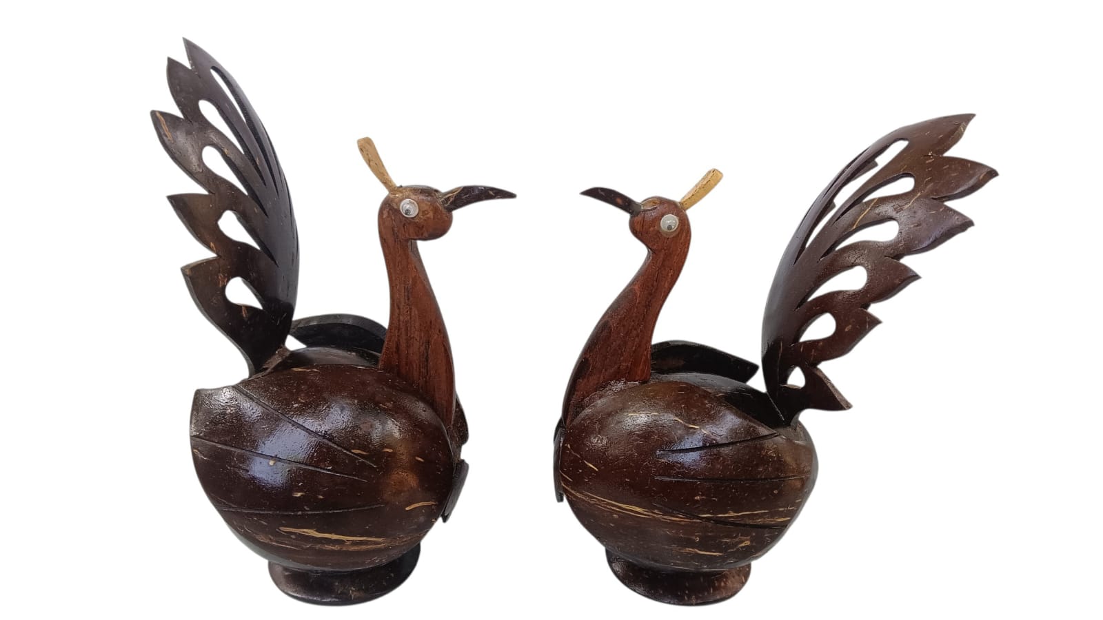Peacock - Image 3